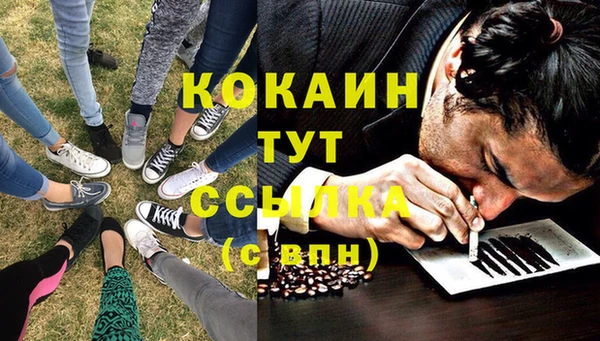 тгк Няндома