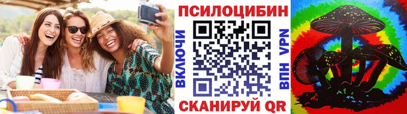 Псилоцибиновые грибы Cubensis  как найти закладки  Кудрово 