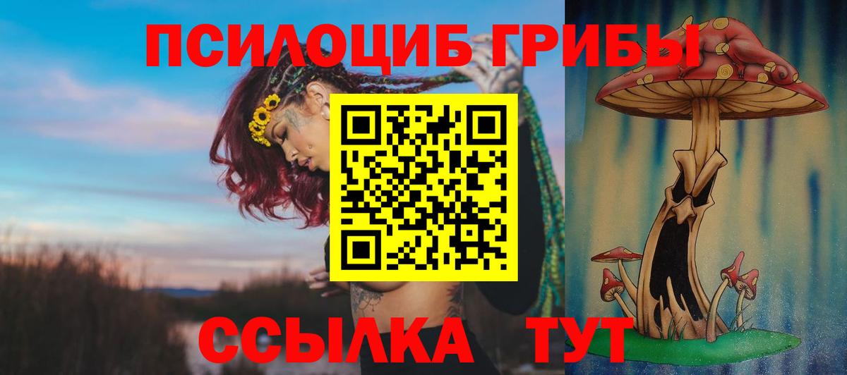 Кудрово  Галлюциногенные грибы Magic Shrooms  цены наркотик  Вход с VPN  Псилоцибиновые грибы Psilocybe 