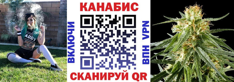 Канабис индика Кудрово